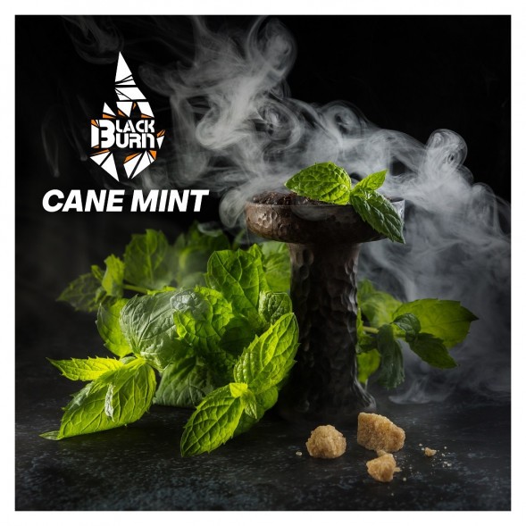 Табак BlackBurn - Cane Mint (Тростниковая Мята, 25 грамм) купить в Барнауле