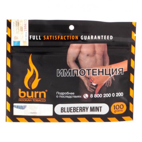 Табак Burn - Blueberry Mint (Черника с Мятой, 100 грамм) купить в Барнауле