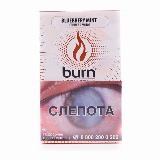 Табак Burn - Blueberry Mint (Черника с Мятой, 100 грамм) купить в Барнауле