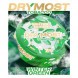 Табак жевательный DryMost - Winter Green (12 грамм) купить в Барнауле