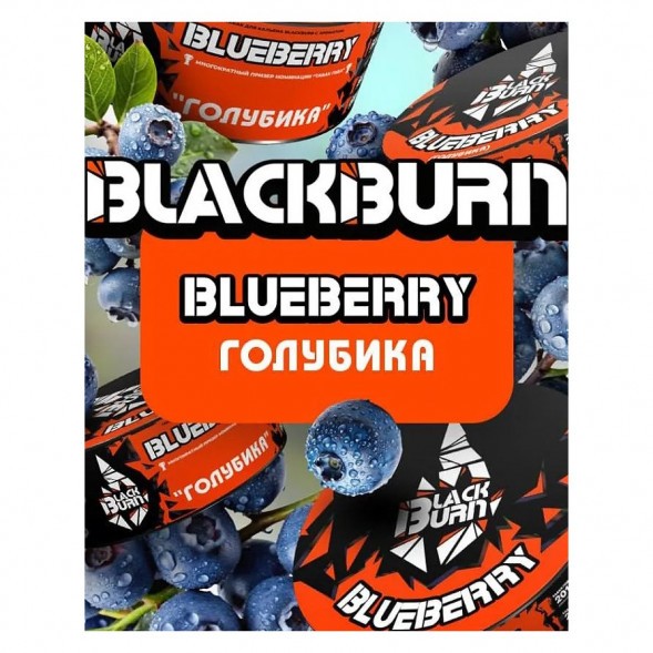 Табак BlackBurn - Blueberry (Голубика, 100 грамм) купить в Барнауле