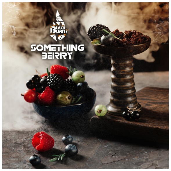 Табак BlackBurn - Something Berry (Что-то Ягодное, 100 грамм) купить в Барнауле
