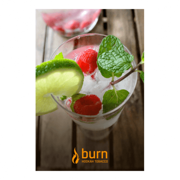 Табак Burn - Kamikaze (Лайм Малина Лед, 100 грамм) купить в Барнауле