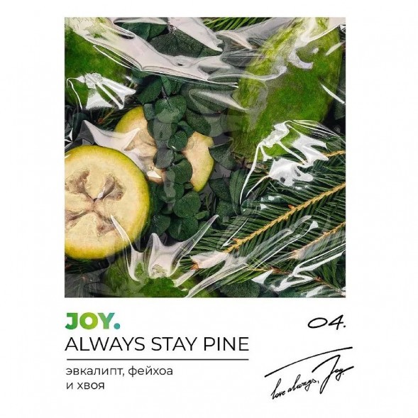 Табак Joy - Always Stay Pine (Эвкалипт, Фейхоа и Хвоя, 25 грамм) купить в Барнауле