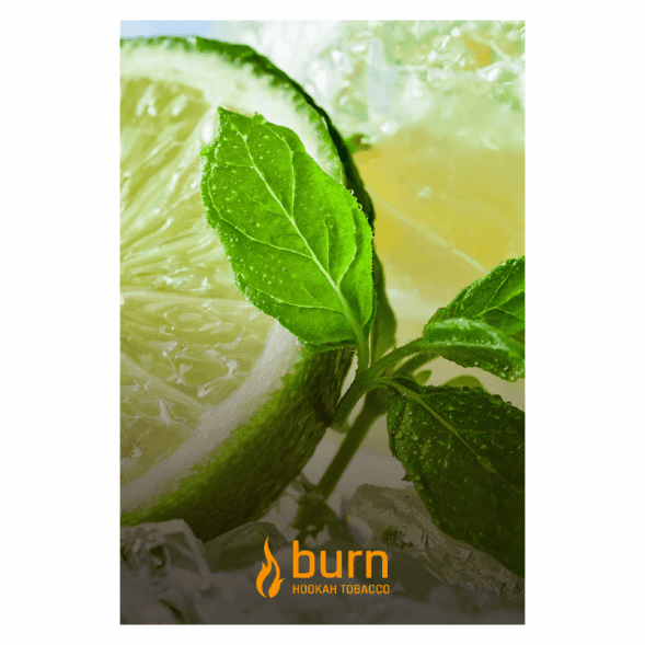 Табак Burn - Lemon Mint (Лимон с Мятой, 100 грамм) купить в Барнауле