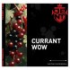 Табак Jent - Currant WOW (Кислая Смородина, 200 грамм) купить в Барнауле