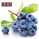 Табак Sebero - Blueberry (Голубика, 25 грамм) купить в Барнауле