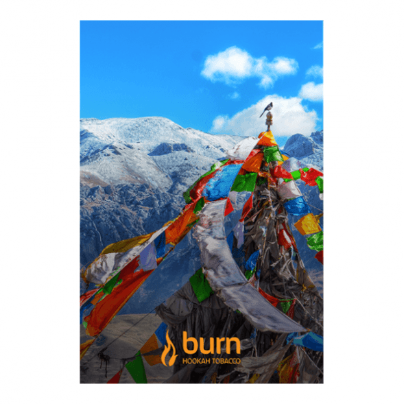 Табак Burn - Tibet (Индийские Специи, 100 грамм) купить в Барнауле