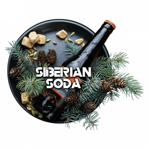 Табак BlackBurn - Siberian Soda (Лимонад Байкал, 100 грамм) купить в Барнауле