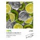 Табак Joy - Green Energy (Энергетик, Киви и Лайм, 25 грамм) купить в Барнауле