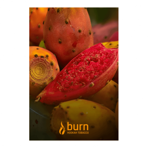 Табак Burn - Juicy Apricot (Спелый Абрикос, 100 грамм) купить в Барнауле