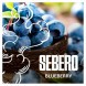 Табак Sebero - Blueberry (Голубика, 100 грамм) купить в Барнауле