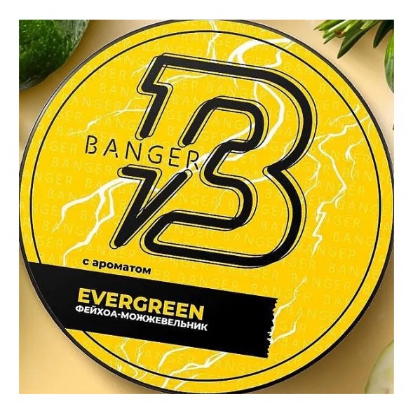 Табак Banger - Evergreen (Фейхоа Можжевельник, 25 грамм) купить в Барнауле