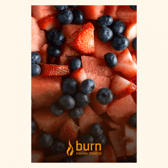 Табак Burn - Berried Treasure (Ягодный Микс, 25 грамм) купить в Барнауле