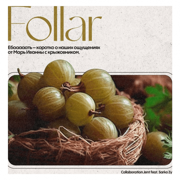 Табак Jent - Follar (Марь Иванна с Крыжовником, 200 грамм) купить в Барнауле