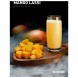 Табак DarkSide Core - MANGO LASSI (Манговый коктейль, 100 грамм) купить в Барнауле