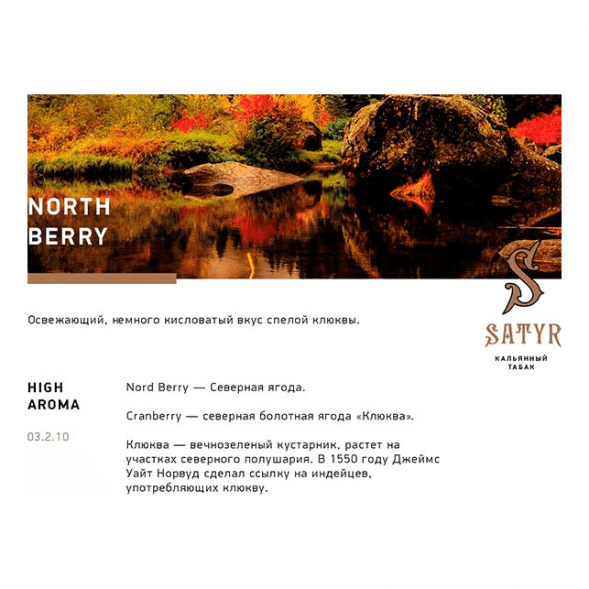 Табак Satyr - North Berry (Северная Ягода, 200 грамм) купить в Барнауле