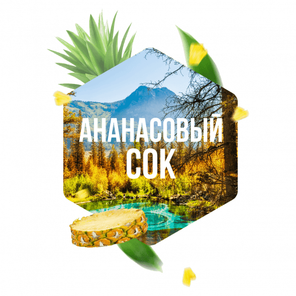 Табак Сарма - Ананасовый Сок (100 грамм) купить в Барнауле