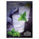 Табак Must Have - Ice Mint (Ледяная Мята, 125 грамм) купить в Барнауле