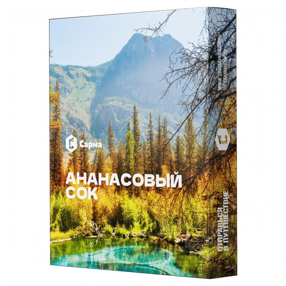 Табак Сарма - Ананасовый Сок (25 грамм) купить в Барнауле