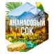 Табак Сарма - Ананасовый Сок (25 грамм) купить в Барнауле