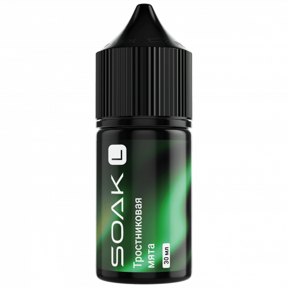Жидкость SOAK L30 - Cane Mint (Тростниковая Мята, 30 мл, 2 мг) купить в Барнауле