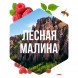 Табак Сарма - Лесная Малина (100 грамм) купить в Барнауле