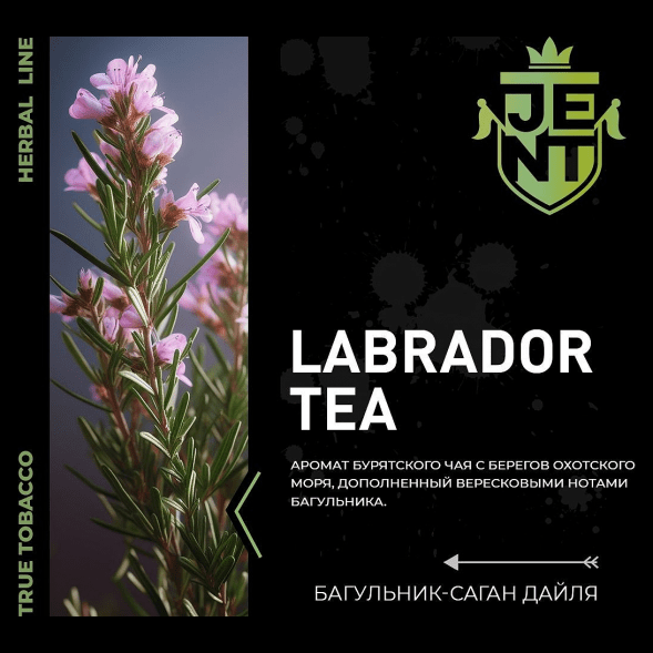 Табак Jent - Labrador Tea (Багульник и Саган Дайля, 25 грамм) купить в Барнауле