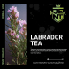 Табак Jent - Labrador Tea (Багульник и Саган Дайля, 25 грамм) купить в Барнауле