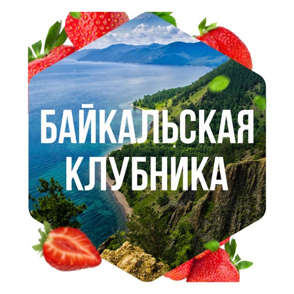 Табак Сарма - Байкальская Клубника (25 грамм) купить в Барнауле