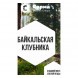 Табак Сарма - Байкальская Клубника (25 грамм) купить в Барнауле