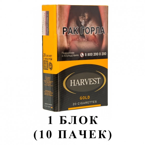 Сигареты Harvest - Gold King Size (блок 10 пачек) купить в Барнауле
