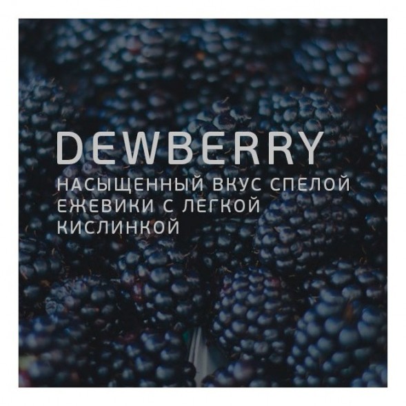 Табак Twelve - Dewberry (Ежевика, 100 грамм, Акциз) купить в Барнауле