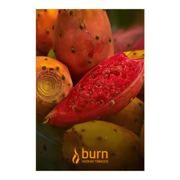 Табак Burn - Strawberry Jam (Клубничное Варенье, 25 грамм) купить в Барнауле