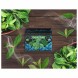 Смесь Malaysian Mix Medium - Mint (Мята, 50 грамм) купить в Барнауле