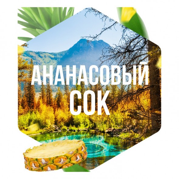 Табак Сарма - Ананасовый Сок (40 грамм) купить в Барнауле