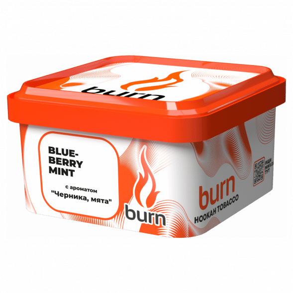 Табак Burn - Blueberry Mint (Черника с Мятой, 200 грамм) купить в Барнауле