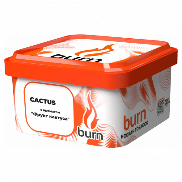 Табак Burn - Cactus (Кактус, 200 грамм) купить в Барнауле